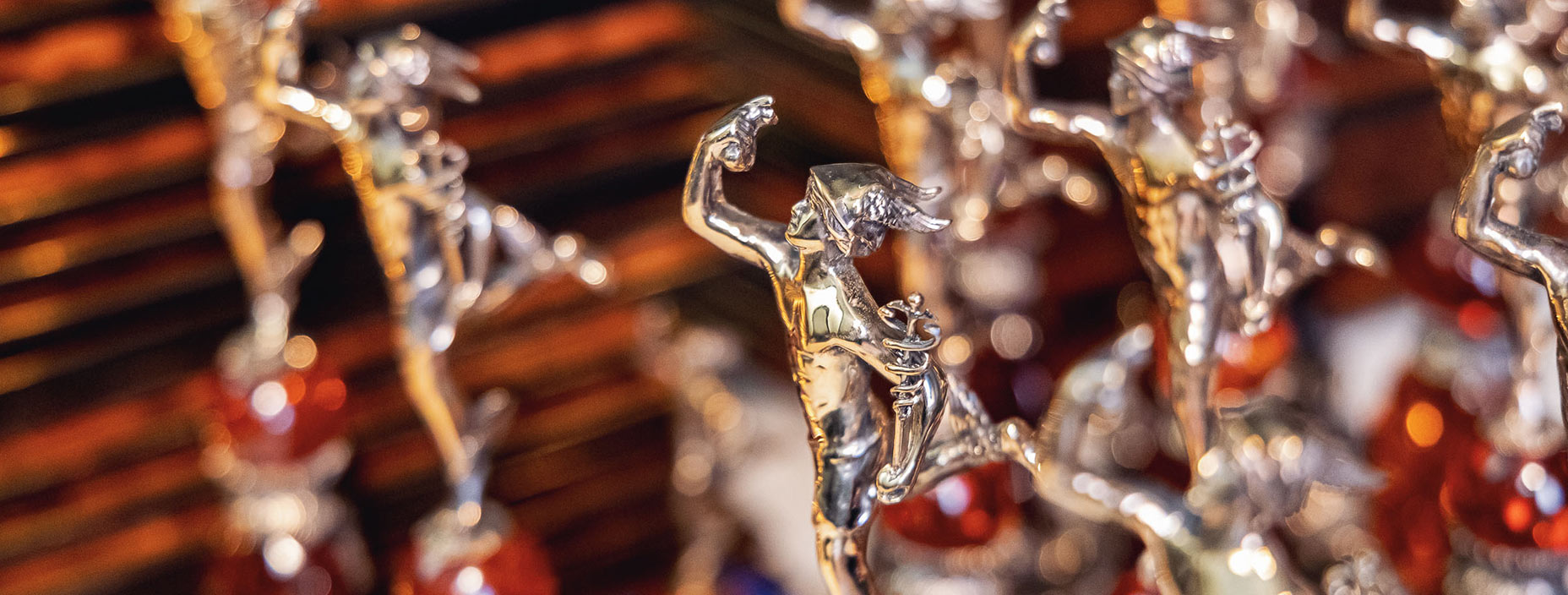 Project Illustration